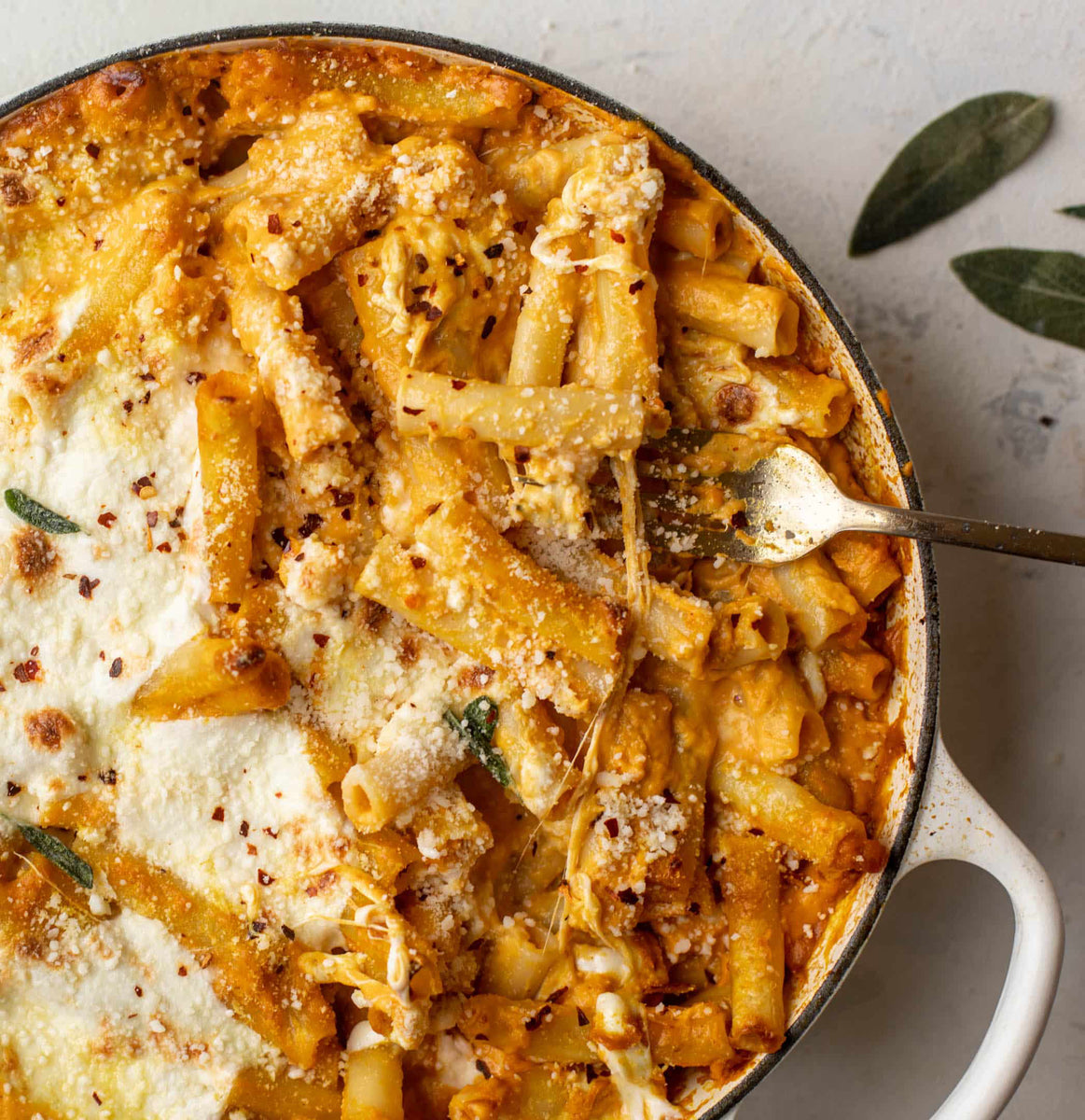 Chicken & Pumpkin Pesto Baked Ziti Rocky Mountain Olive Oil