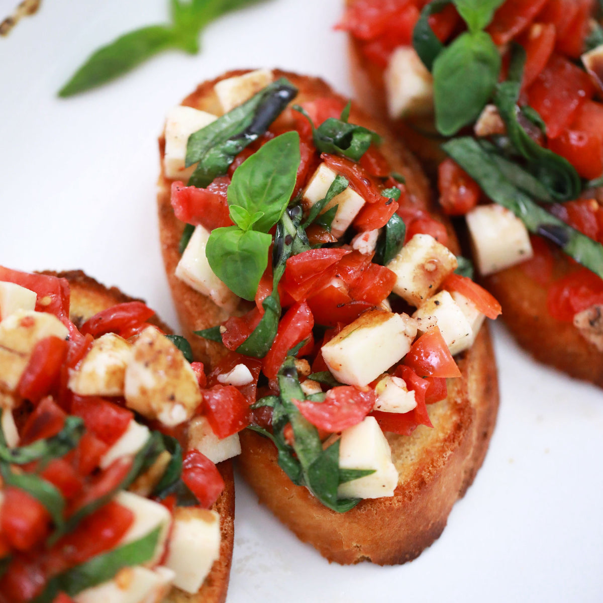 Oregano Tomato Bruschetta – Rocky Mountain Olive Oil